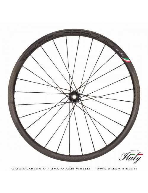 GrigioCarbonio Primato AS26 Ruote MTB 29" da 890 gr.