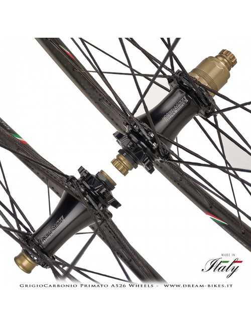 GrigioCarbonio Primato AS26 Ruote MTB 29" da 890 gr.