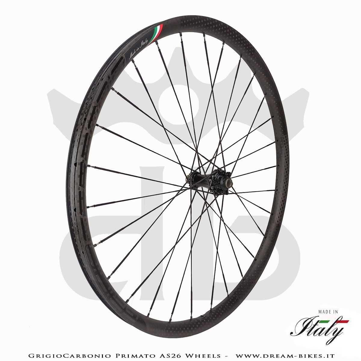 GrigioCarbonio Primato AS26 Ruote MTB 29" da 890 gr.