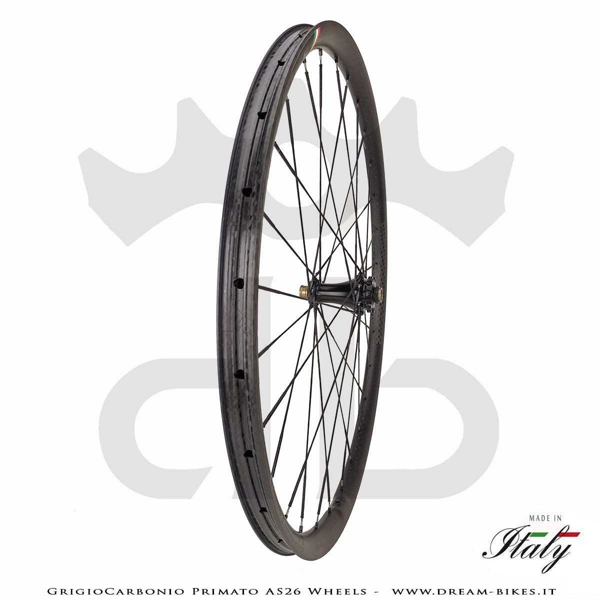 GrigioCarbonio Primato AS26 Ruote MTB 29" da 890 gr.