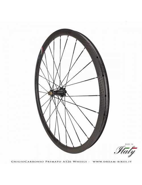 GrigioCarbonio Primato AS26 Ruote MTB 29" da 890 gr.