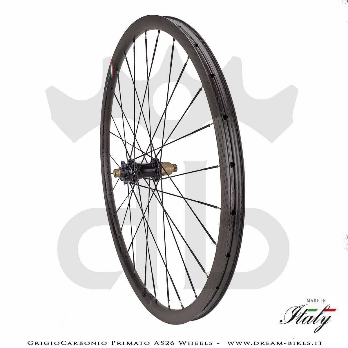GrigioCarbonio Primato AS26 Ruote MTB 29" da 890 gr.