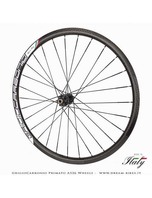 GrigioCarbonio Primato AS26 Ruote MTB 29" da 890 gr.