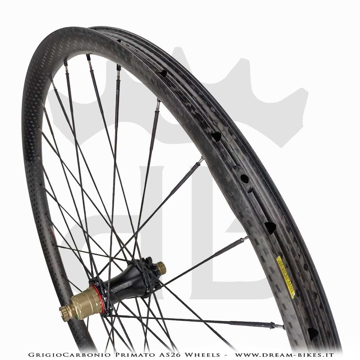 GrigioCarbonio Primato AS26 Ruote MTB 29" da 890 gr.