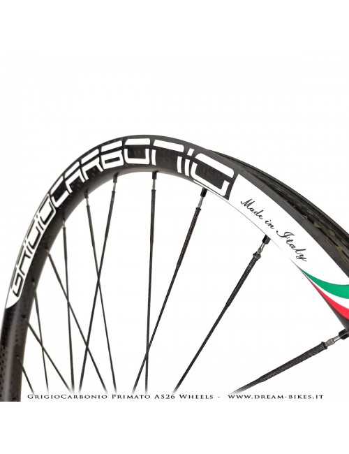 GrigioCarbonio Primato AS26 Ruote MTB 29" da 890 gr.