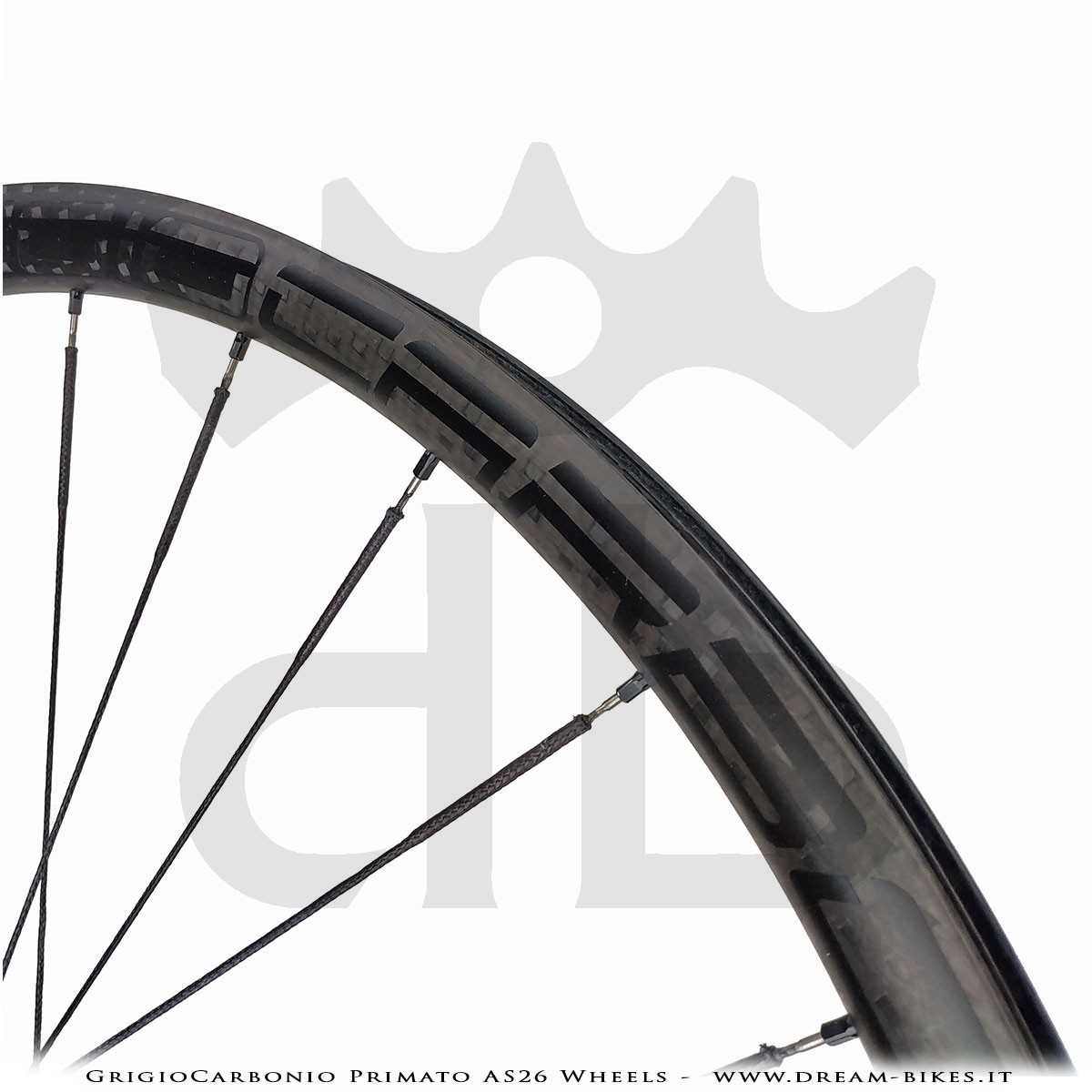 GrigioCarbonio Primato AS26 Ruote MTB 29" da 890 gr.