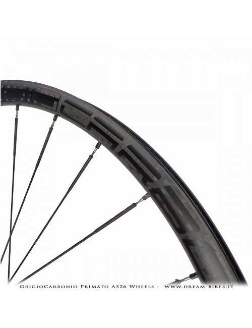 GrigioCarbonio Primato AS26 Ruote MTB 29" da 890 gr.