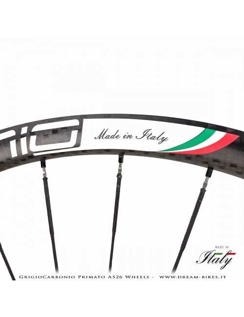 GrigioCarbonio Primato AS26 Ruote MTB 29" da 890 gr.