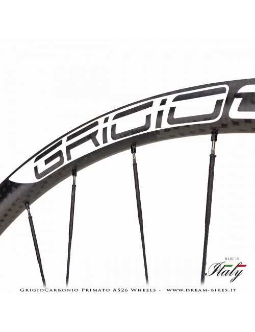 GrigioCarbonio Primato AS26 Ruote MTB 29" da 890 gr.
