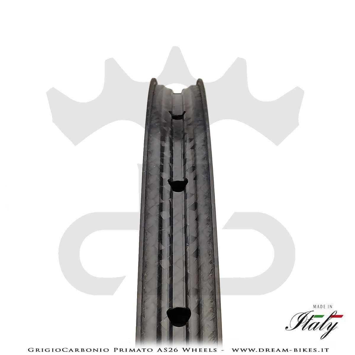 GrigioCarbonio Primato AS26 Ruote MTB 29" da 890 gr.