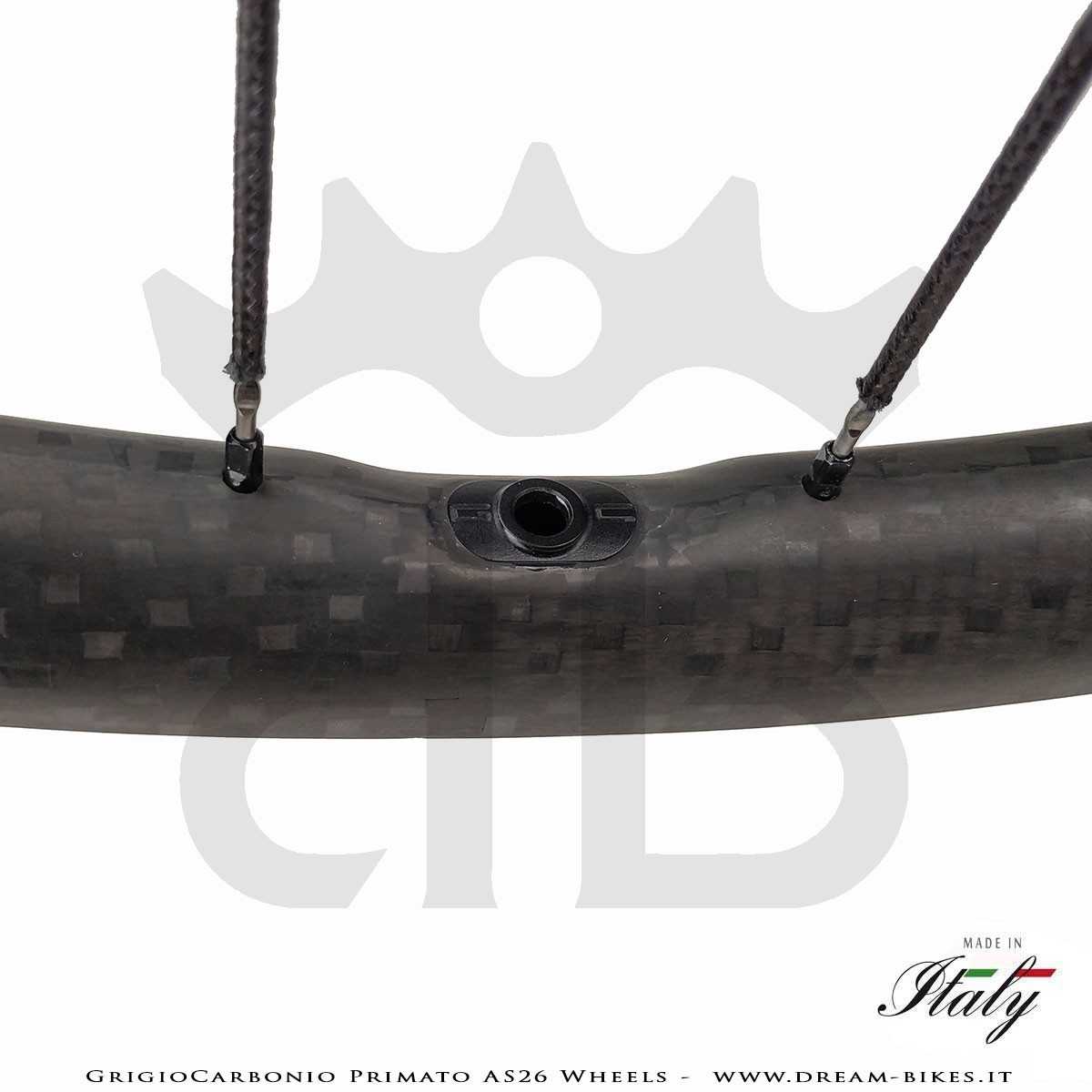 GrigioCarbonio Primato AS26 Ruote MTB 29" da 890 gr.