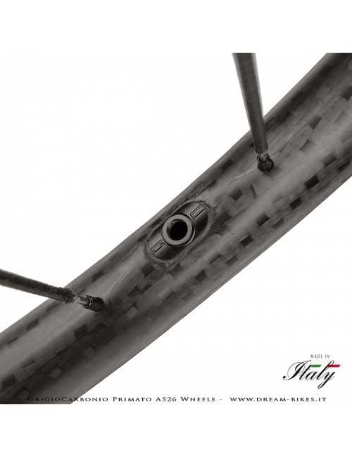 GrigioCarbonio Primato AS26 Ruote MTB 29" da 890 gr.