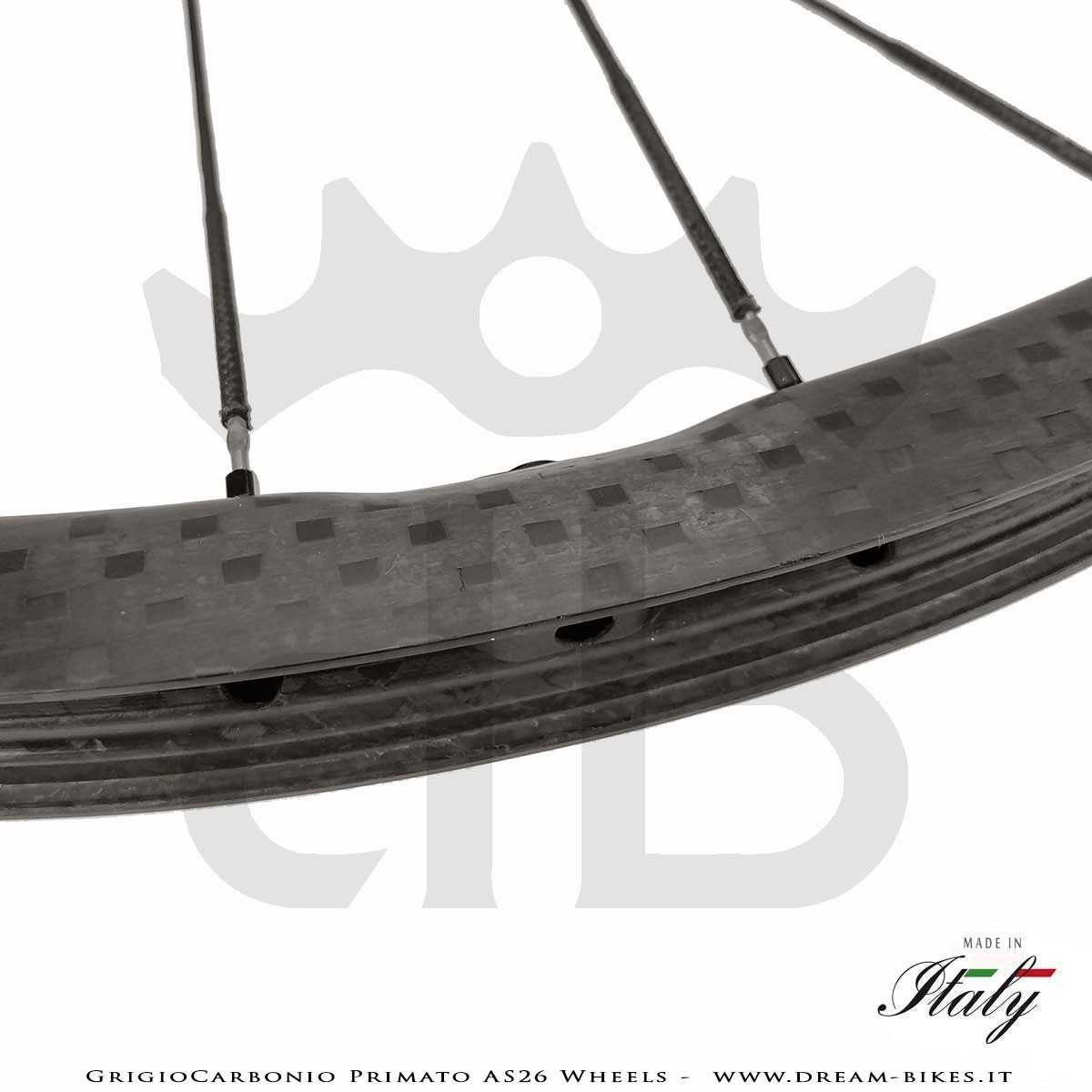 GrigioCarbonio Primato AS26 Ruote MTB 29" da 890 gr.