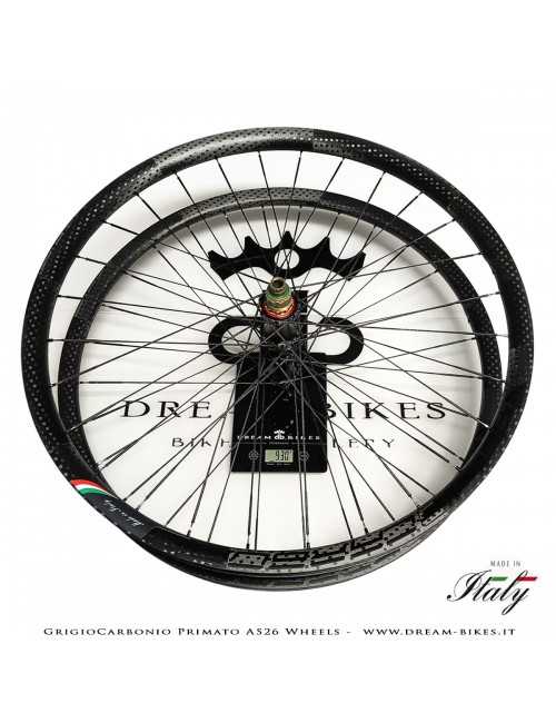 GrigioCarbonio Primato AS26 Ruote MTB 29" da 890 gr.