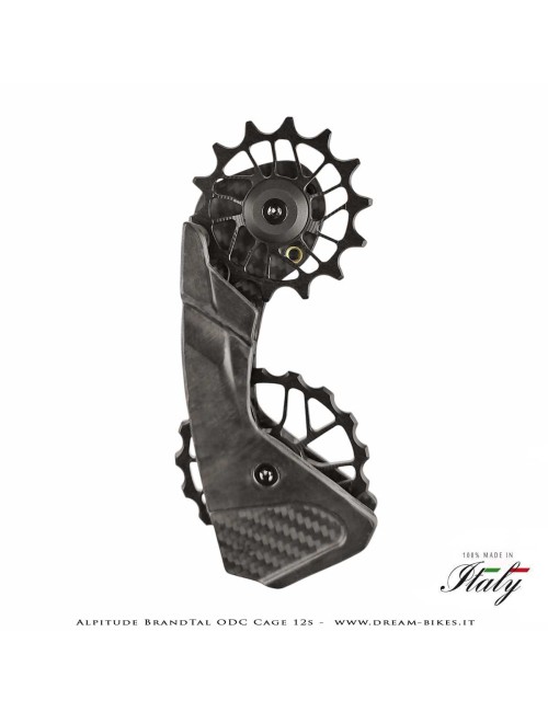 Alpitude Brandtal ODC - Gabbia Cambio Completa Carbon 12v con Pulegge Oversize e Cuscinetti Ceramici - Da 69 gr.