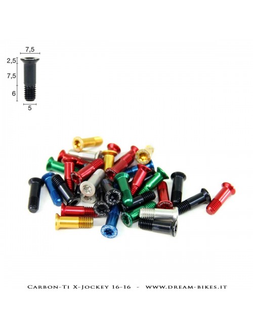 Carbon-Ti X-Jockey Wheels Derailleur Bolts Kit
