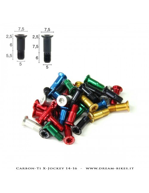 Carbon-Ti X-Jockey Viti Pulegge Cambio