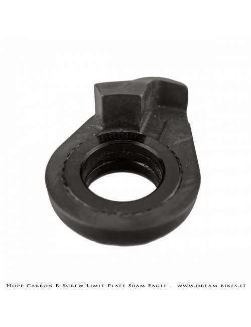 Hopp Carbon Piastrina Registro Tensione Cambio Sram 12v AXS, XX1 Eagle, X01 Eagle, Tuning