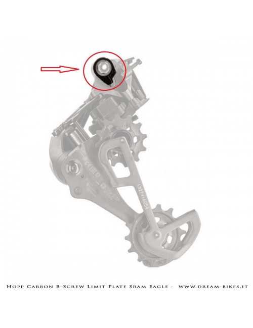 Hopp Carbon Piastrina Registro Tensione Cambio Sram 12v AXS, XX1 Eagle, X01 Eagle, Tuning