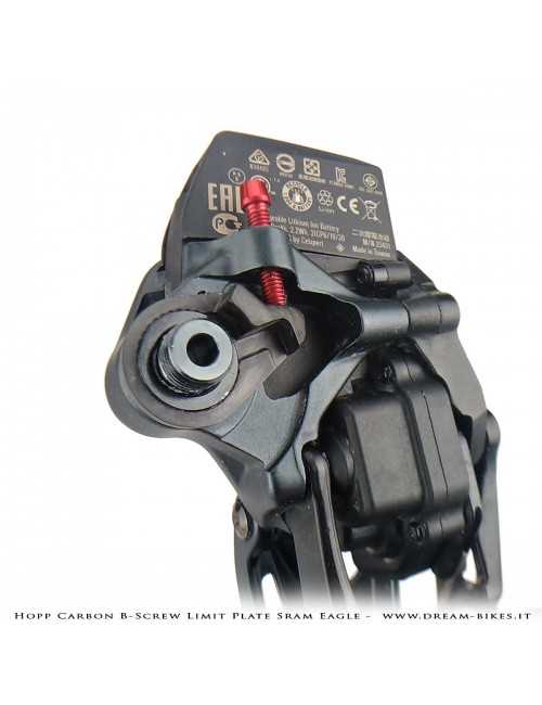 Hopp Carbon Piastrina Registro Tensione Cambio Sram 12v AXS, XX1 Eagle, X01 Eagle, Tuning