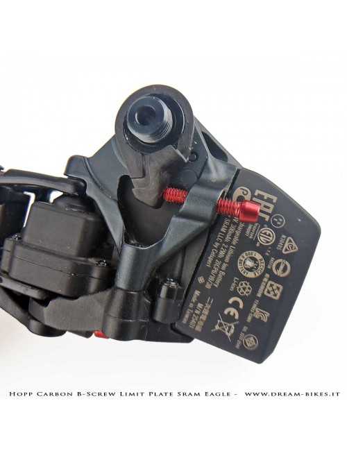 Hopp Carbon Piastrina Registro Tensione Cambio Sram 12v AXS, XX1 Eagle, X01 Eagle, Tuning