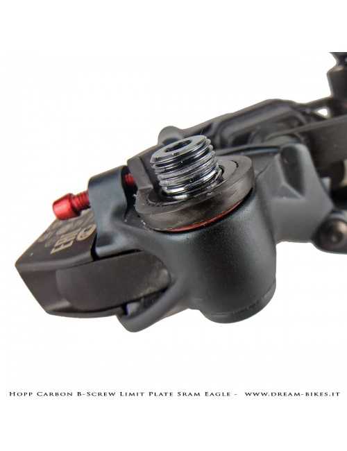 Hopp Carbon Piastrina Registro Tensione Cambio Sram 12v AXS, XX1 Eagle, X01 Eagle, Tuning