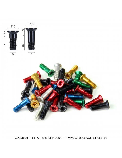 Carbon-Ti X-Jockey Viti Pulegge Cambio