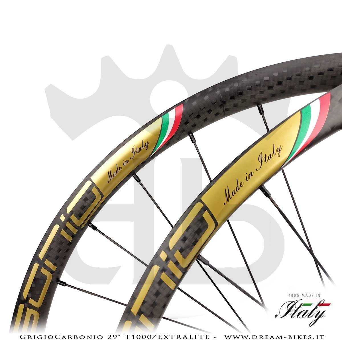 GrigioCarbonio Ruote 29" AS26 T1000 Extralite - 990 gr.