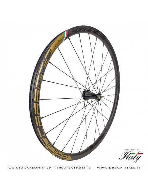 GrigioCarbonio Ruote 29" AS26 T1000 Extralite - 990 gr.
