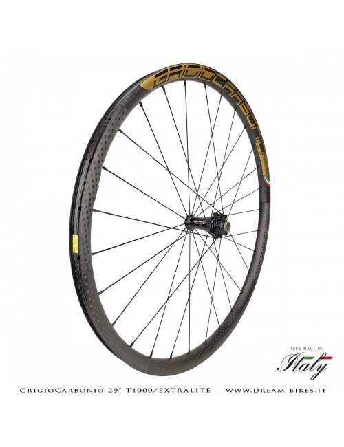 GrigioCarbonio Ruote 29" AS26 T1000 Extralite - 990 gr.