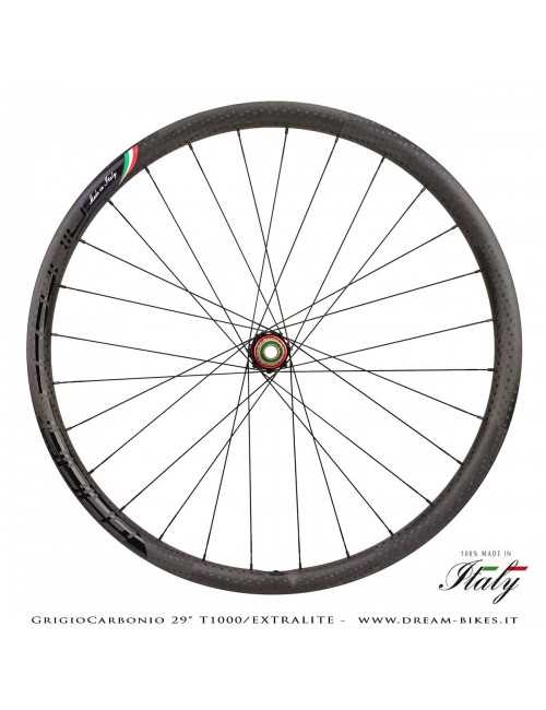GrigioCarbonio Ruote 29" AS26 T1000 Extralite - 990 gr.