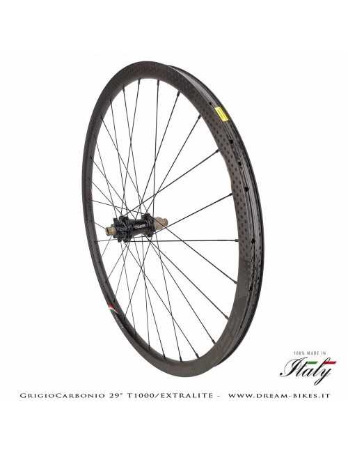 GrigioCarbonio Ruote 29" AS26 T1000 Extralite - 990 gr.