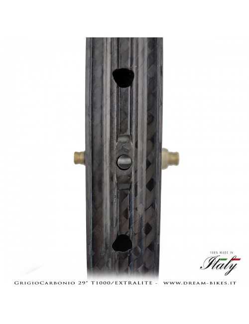 GrigioCarbonio Ruote 29" AS26 T1000 Extralite - 990 gr.