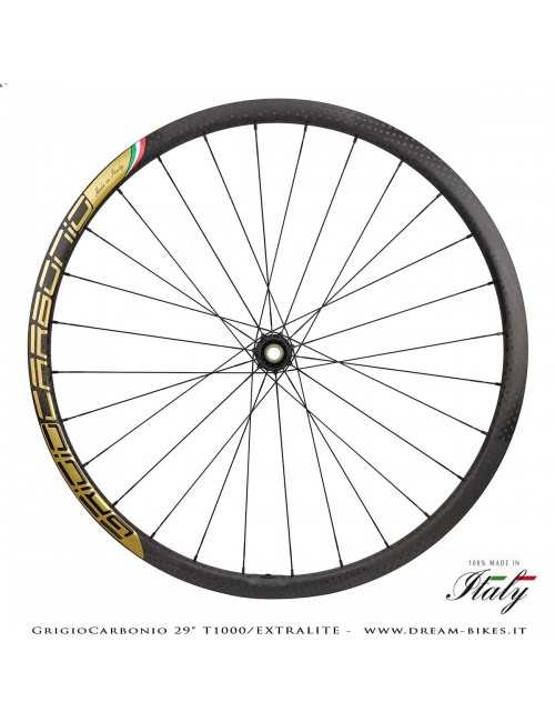 GrigioCarbonio Ruote 29" AS26 T1000 Extralite - 990 gr.