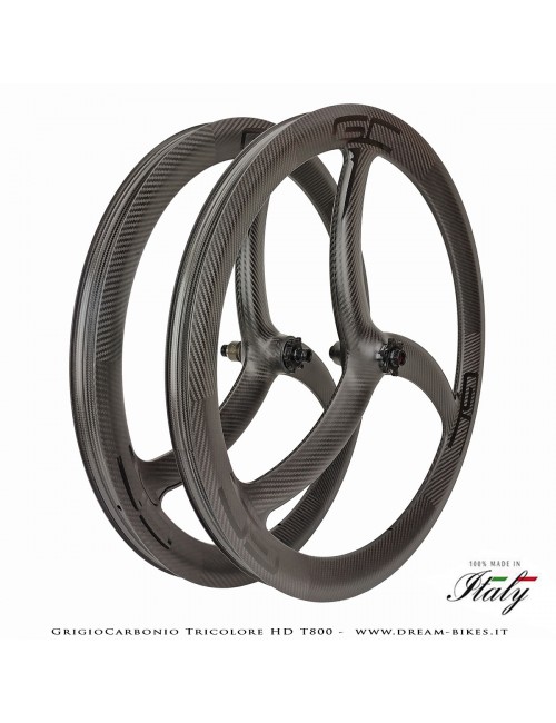GrigioCarbonio Tricolore HD T800 29" Ruote a Razze Carbon E-Bike 1390 gr.