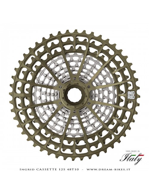 Ingrid Cassette 12S 48T10 XD