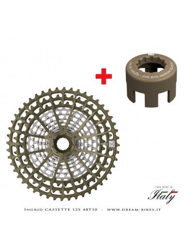 Ingrid 12S 48T10 Cassetta Pignoni 12v XD