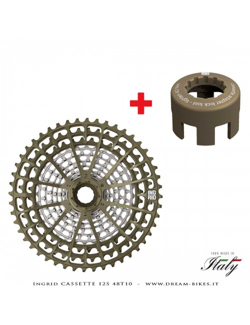 Ingrid Cassette 12S 48T10 XD